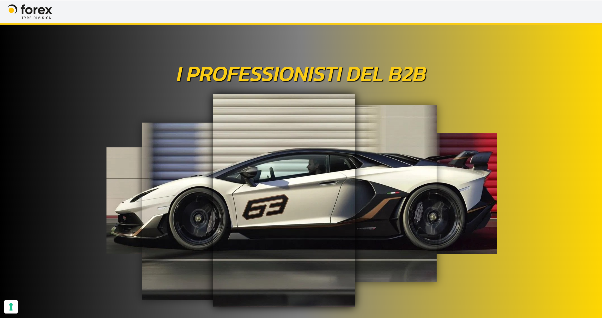 Anteprima Forex Trade B2C